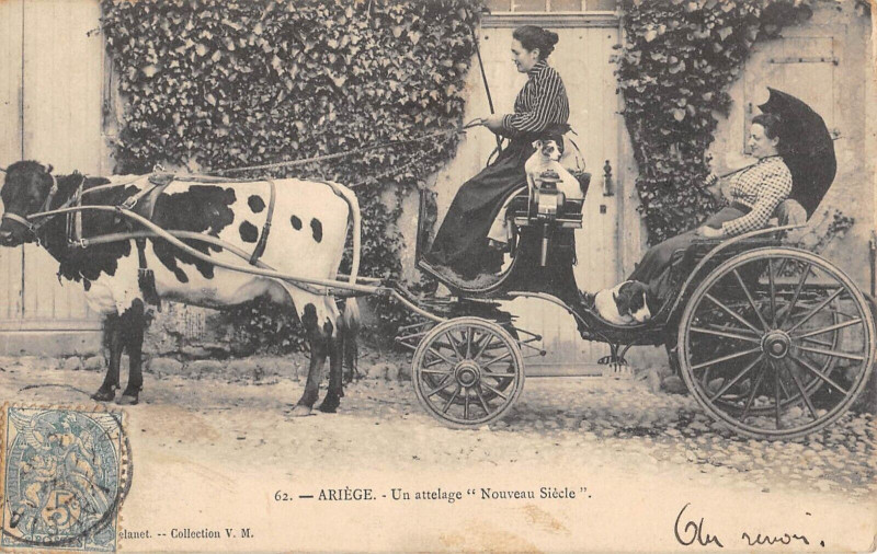 Carte postale ancienne Ariege Un Attelage Nouveau Siecle