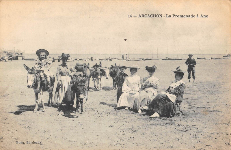 Carte postale ancienne Arcachon La Promenade A Ane à Arcachon