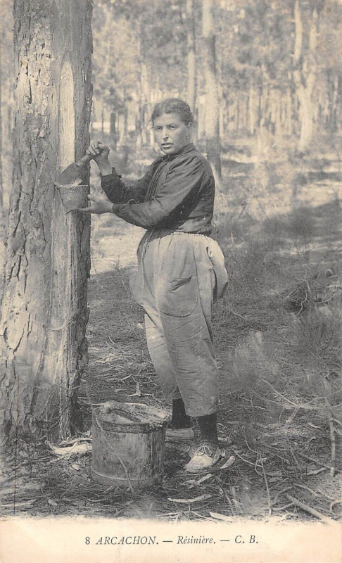 Carte postale ancienne Arcachon Resiniere à Arcachon