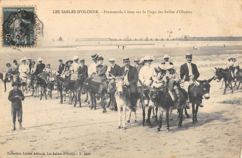 Carte postale ancienne Les Sables D'Olonne Promenade A Anes Sur La Plage Des Sables aux Sables-d'Olonne