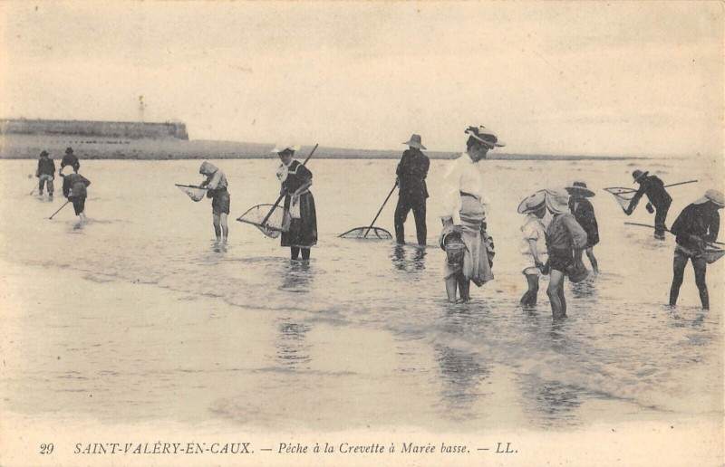 Carte postale ancienne Saint Valery En Caux Peche A La Crevette A Maree Basse à Ry