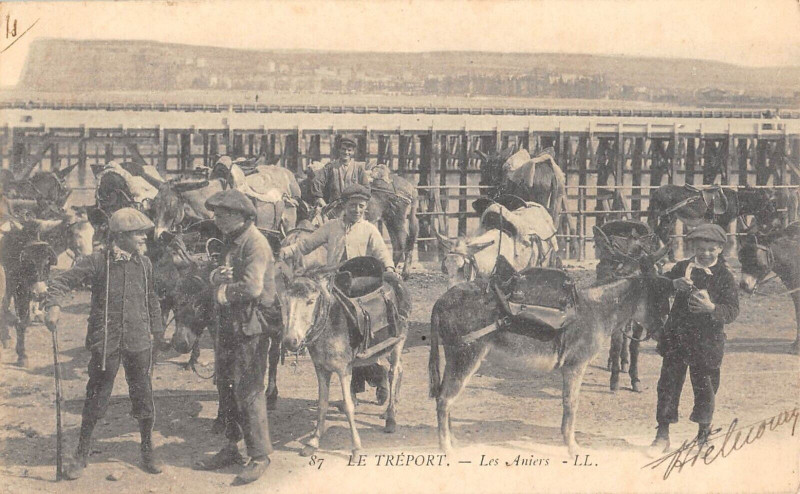 Carte postale ancienne Le Treport Les Aniers