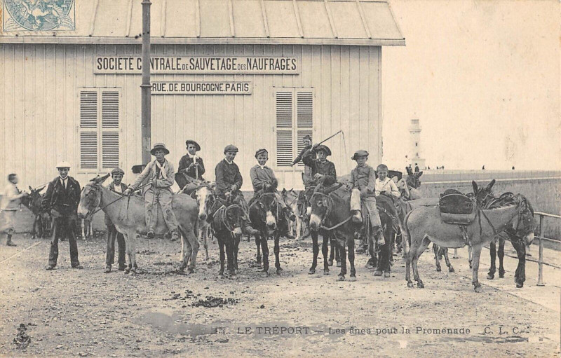 Carte postale ancienne Le Treport Les Aniers Pour La Promenade