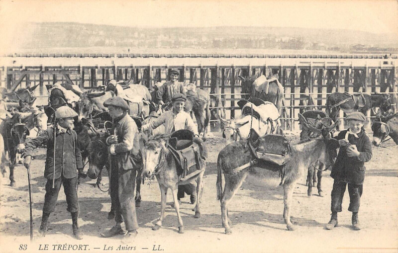 Carte postale ancienne Le Treport Les Aniers