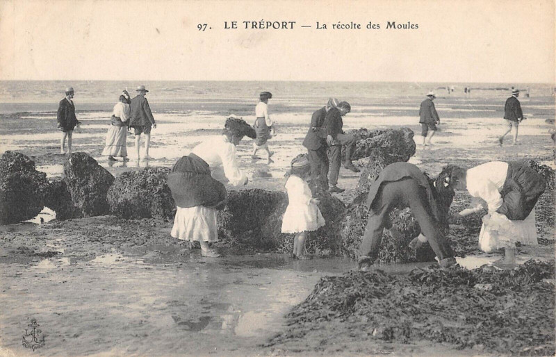 Carte postale ancienne Le Treport La Recolte Des Moules
