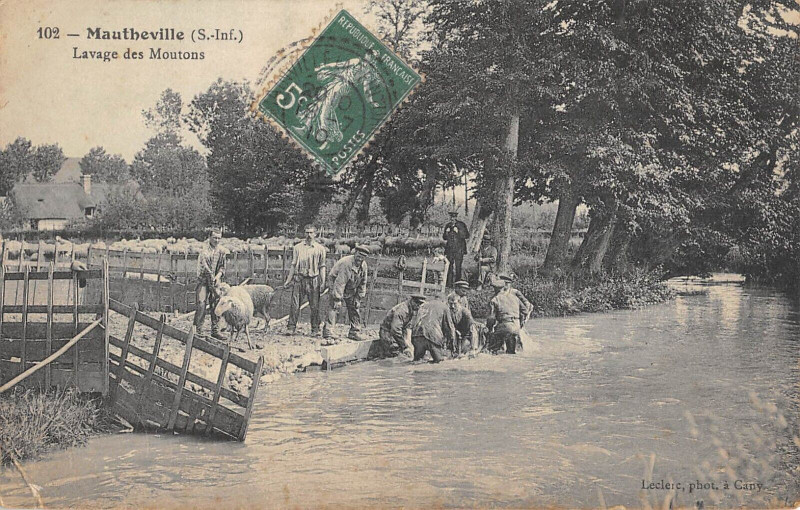 Carte postale ancienne Mautheville Lavage Des Moutons