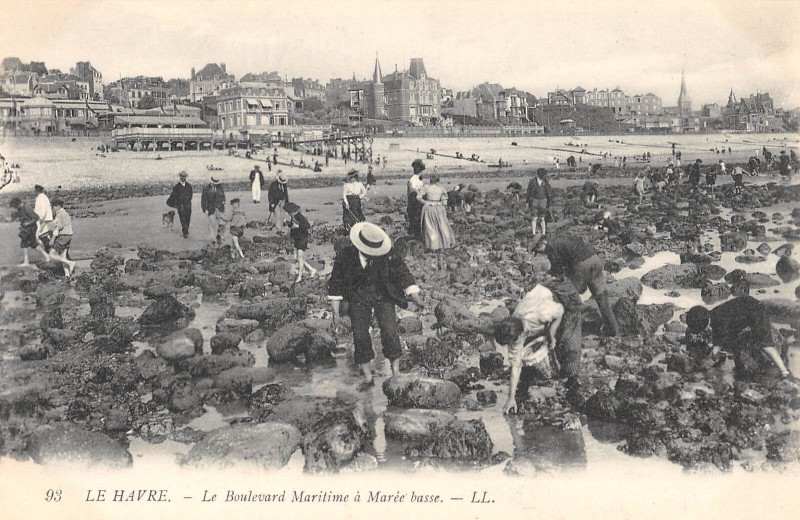 Carte postale ancienne Le Havre Le Boulevard Maritime A Maree Basse au Havre