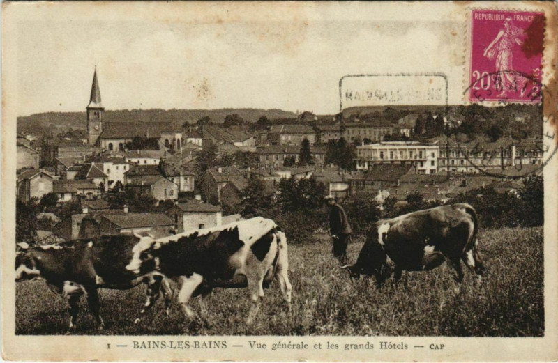 Carte postale ancienne Bains-les-Bains - vUE générale