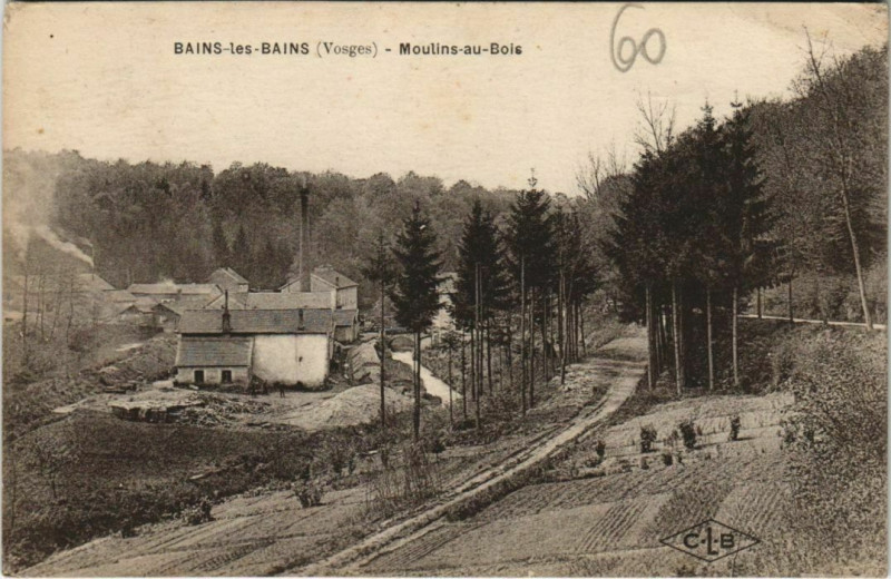 Carte postale ancienne Bains-les-Bains - Moulins au bois