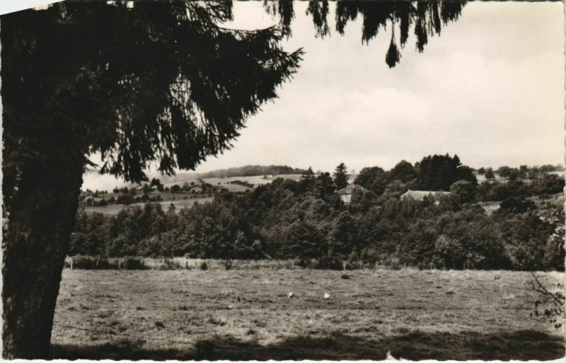 Carte postale ancienne Bains-les-Bains - Colonie des Grands pres à Grand
