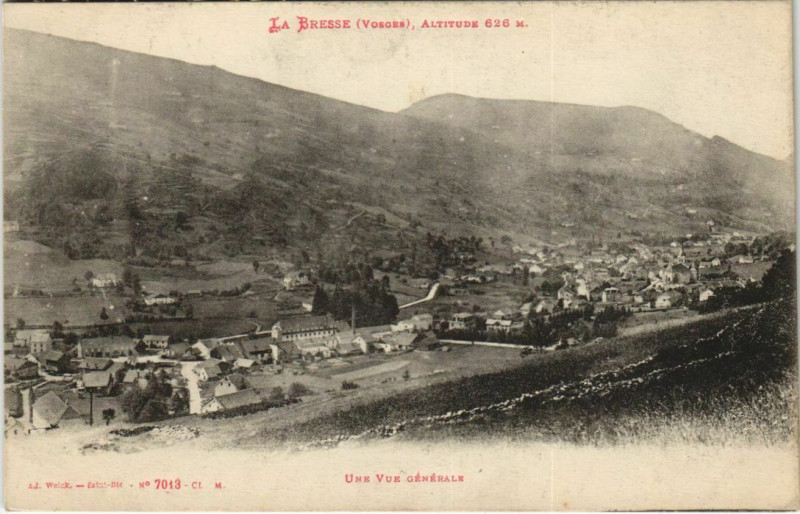 Carte postale ancienne La Bresse - Une Vue générale à La Bresse