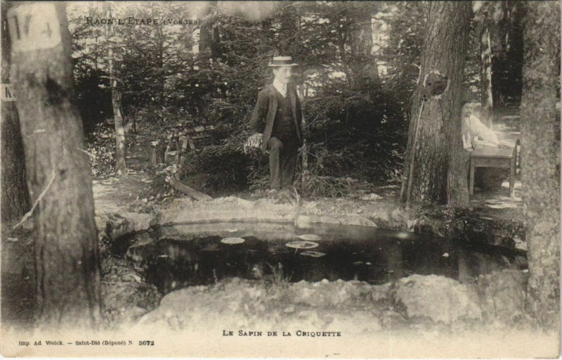 Carte postale ancienne Raon-l'Etape - Le sapin de la