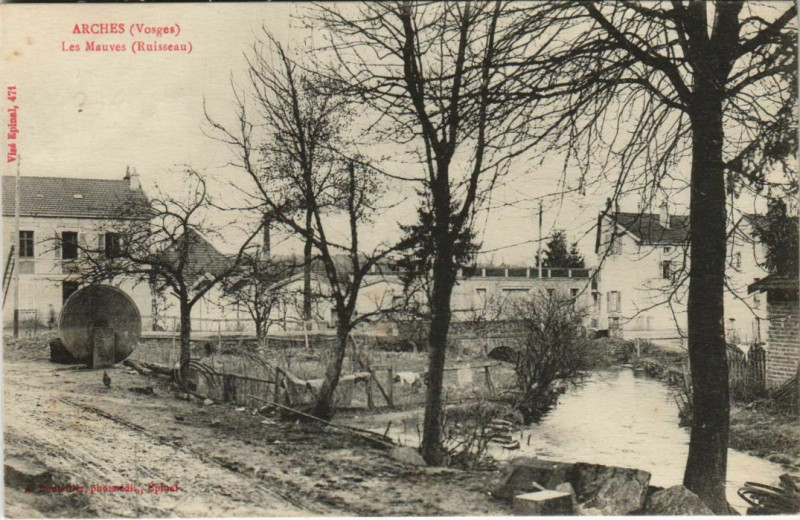 Carte postale ancienne Arches - Les mauves à Arches
