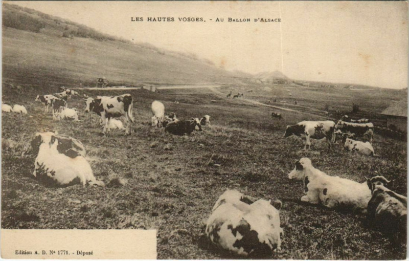 Carte postale ancienne Les Hautes Vosges - au Ballon d'Alsace