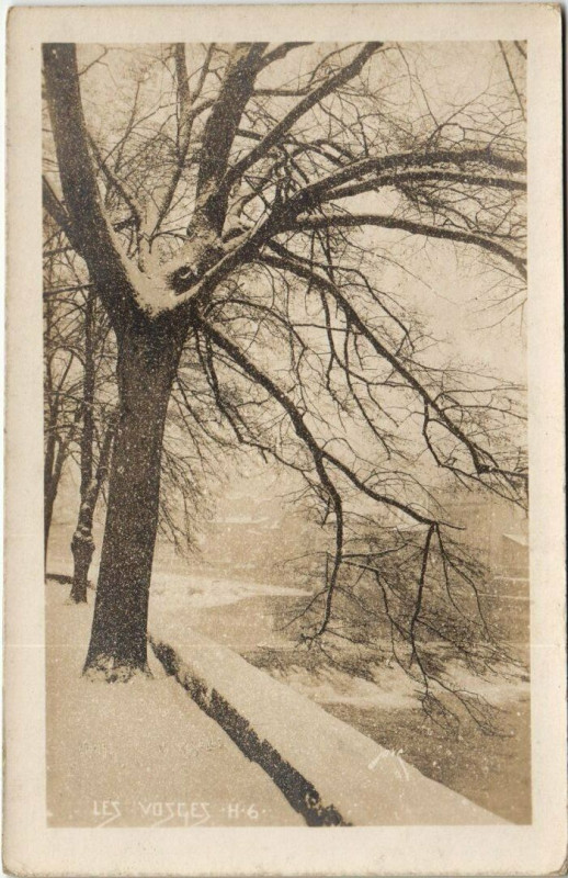 Carte postale ancienne Les Vosges carte photo