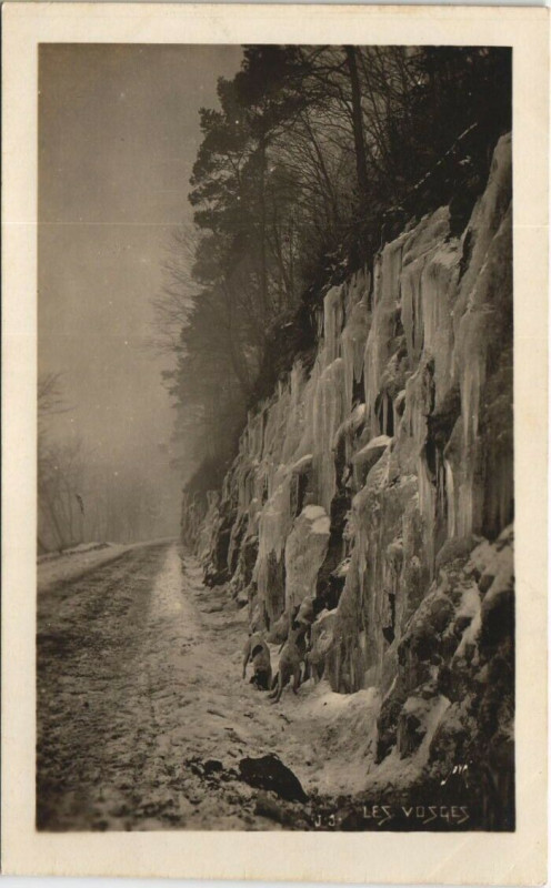 Carte postale ancienne Les Vosges carte photo