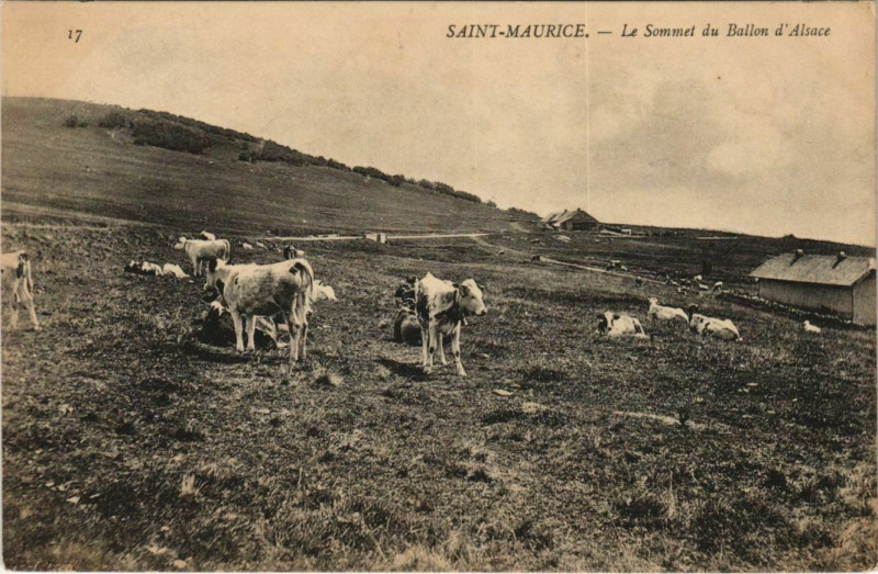 Carte postale ancienne Saint-Maurice - Le sommet du ballon