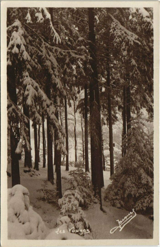 Carte postale ancienne Les Vosges
