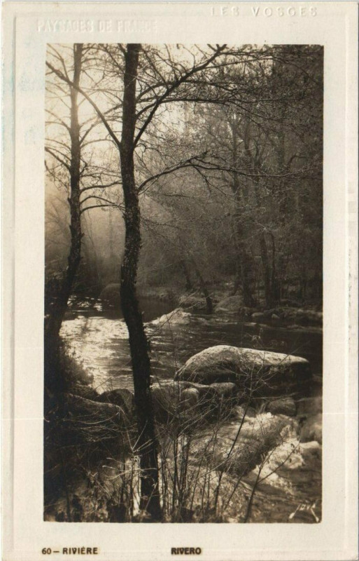 Carte postale ancienne Riviere carte photo