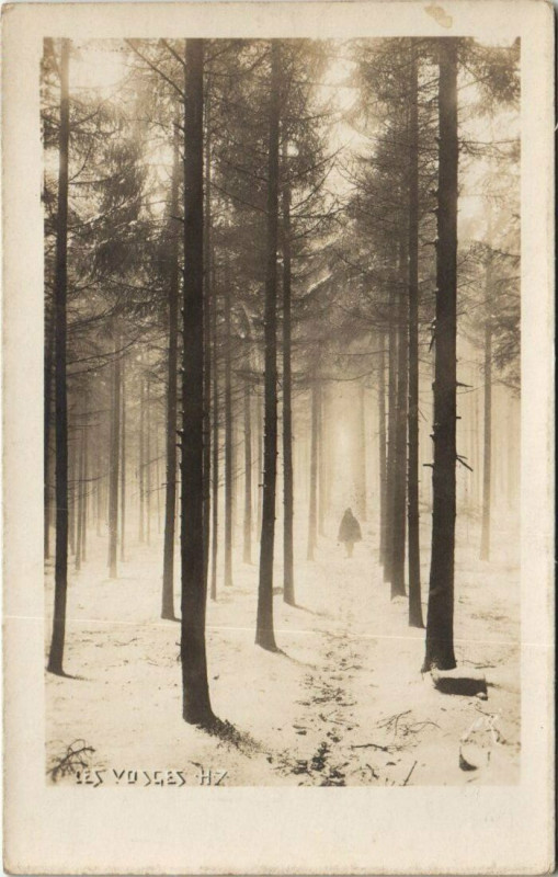 Carte postale ancienne Les Vosges carte photo