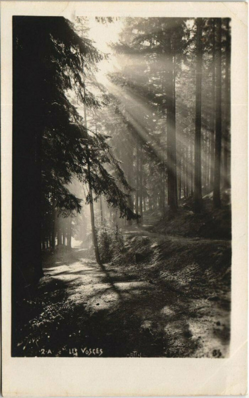 Carte postale ancienne Les Vosges carte photo