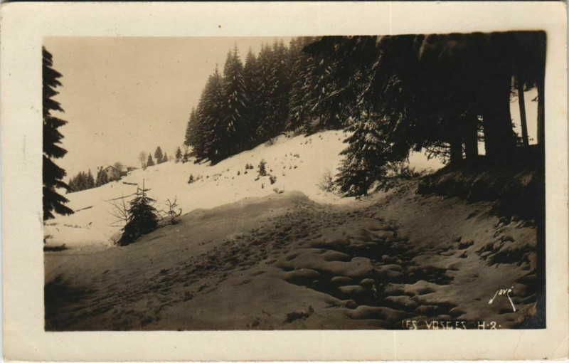 Carte postale ancienne Les Vosges carte photo