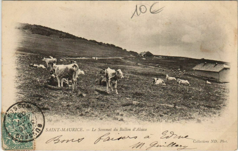 Carte postale ancienne Saint-Maurice - Le sommet du Ballon d'Alsace
