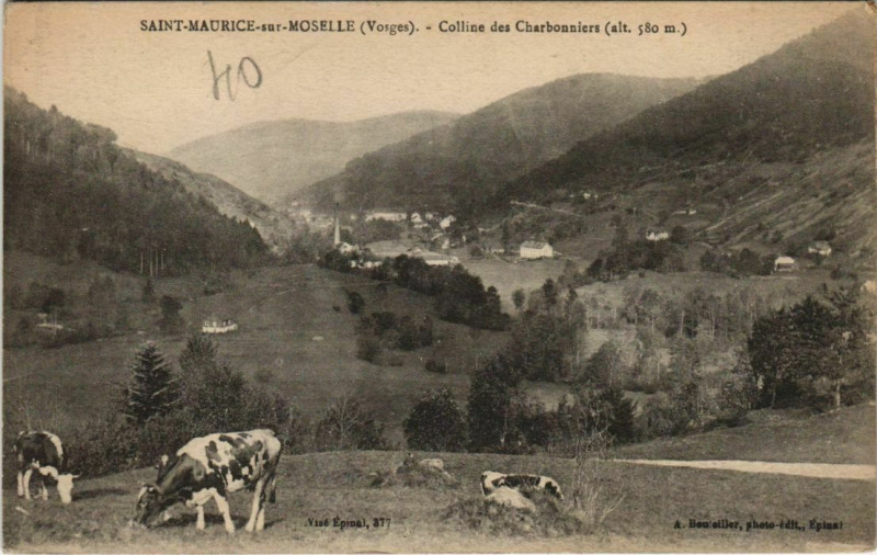 Carte postale ancienne Saint-Maurice-sur-Moselle - Colline