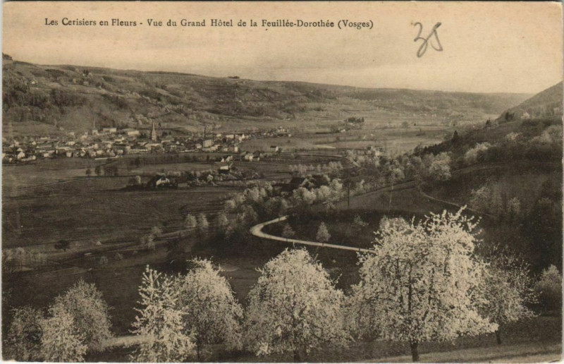 Carte postale ancienne Les cerisiers en fleurs - Vue du Grand Hotel à Grand