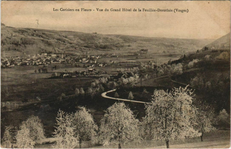Carte postale ancienne Les cerisiers en fleurs - Vue du Grand Hotel à Grand