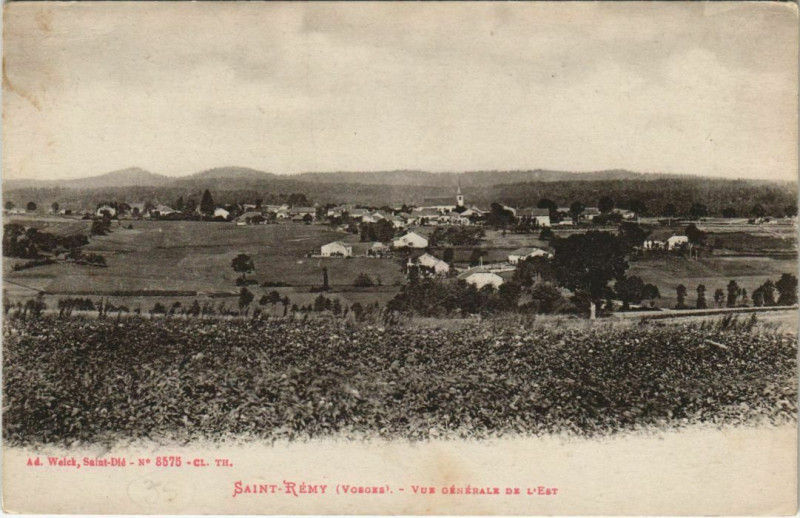 Carte postale ancienne Saint-Remy - Vue générale