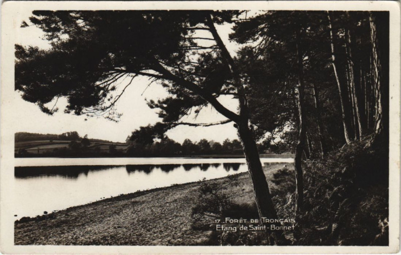 Carte postale ancienne Foret de Troncais Etang de Saint-bonnet