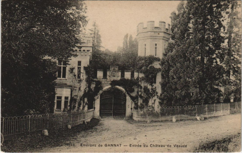 Carte postale ancienne Chateau de Veauce Entrée à Veauce