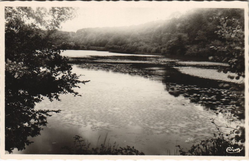 Carte postale ancienne Saint-Bonnet-Troncais Un coin de l'Etang de Morat