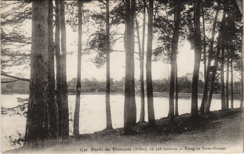 Carte postale ancienne Foret de Troncais Etang de Saint-bonnet