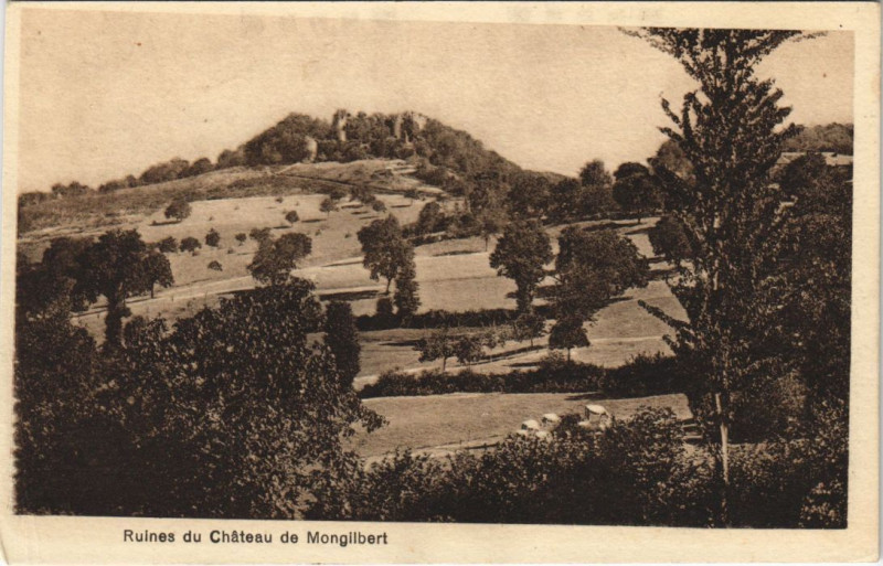 Carte postale ancienne Ruines du Chateau de Mongilbert à Bert