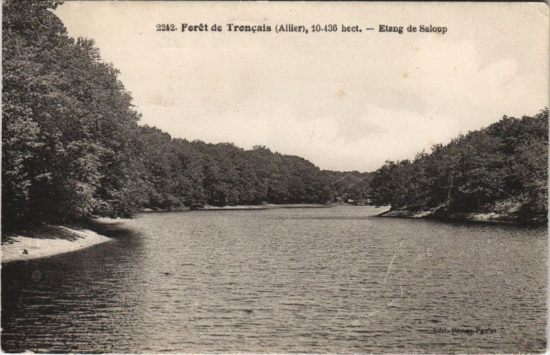 Carte postale ancienne Foret de Troncais Etang de Saloup