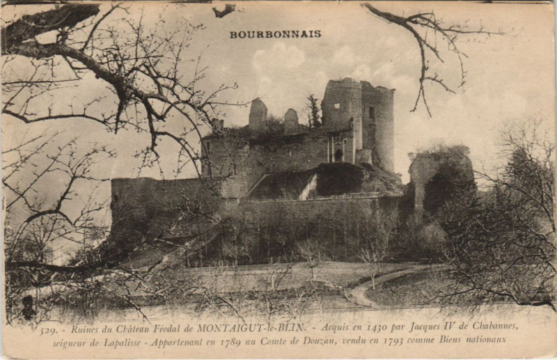 Carte postale ancienne Chateau de Montaigu-Le-Blanc