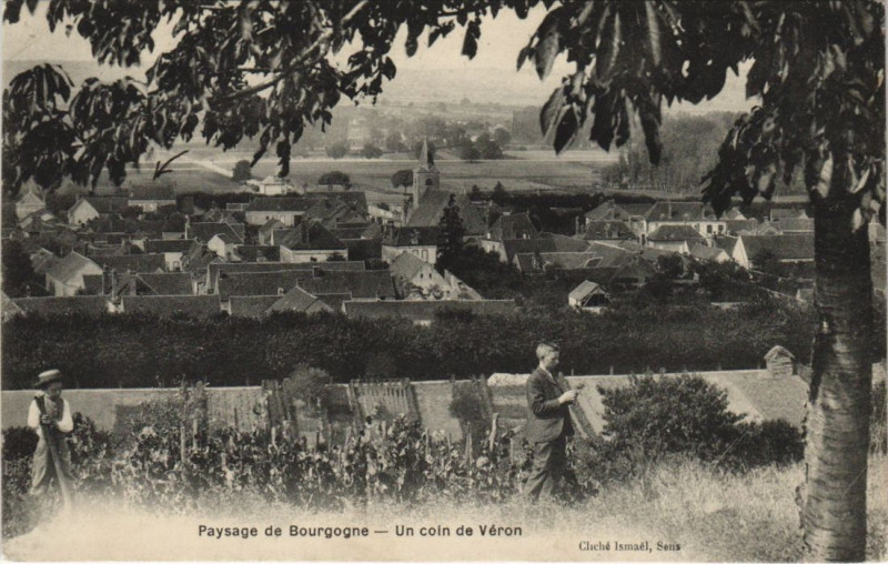 Carte postale ancienne Veron un coin