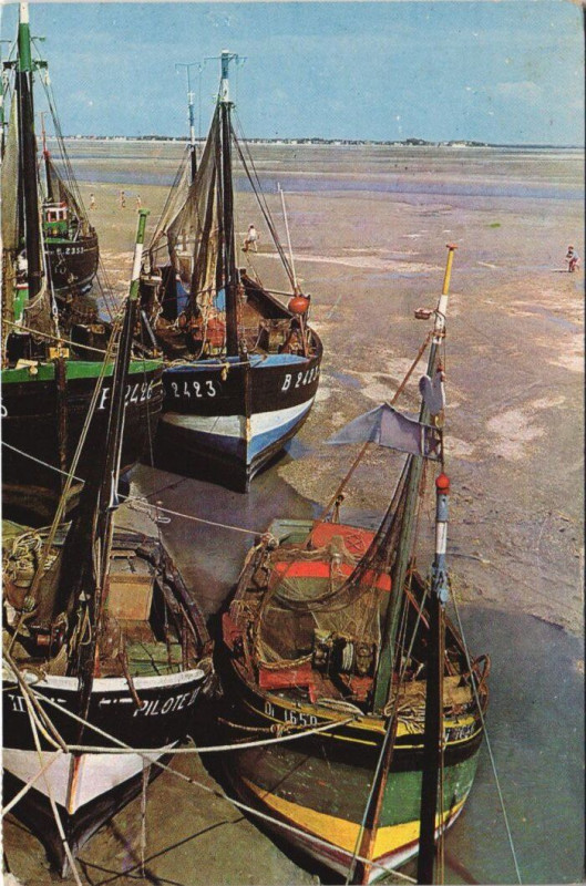 Carte postale ancienne Cayeux-Sur-Mer Barques de peche à Cayeux-sur-Mer