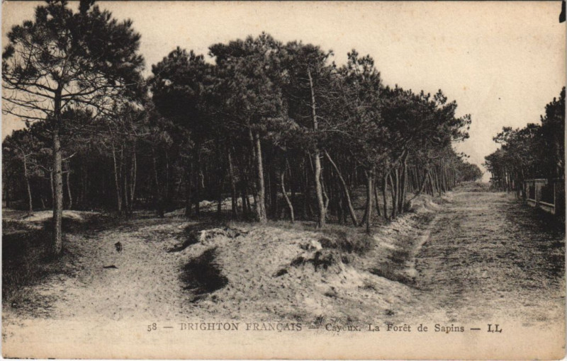 Carte postale ancienne Cayeux-Sur-Mer Brighton Foret des Sapins à Cayeux-sur-Mer