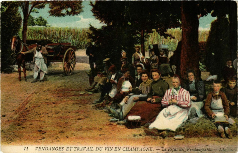 Carte postale ancienne Vendages et Travail du Vin en Champagne. Le repas