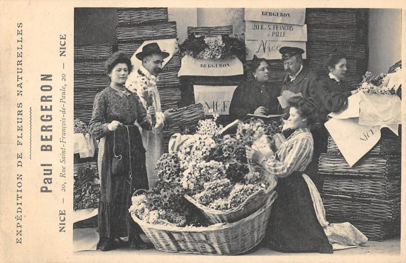 Carte postale ancienne Nice Paul Bergeron Rue Saint Francois De Paule Expedition De Fleurs Natur à Nice