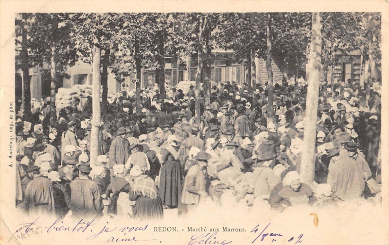 Carte postale ancienne Redon Le Marche Aux Marrons à Redon