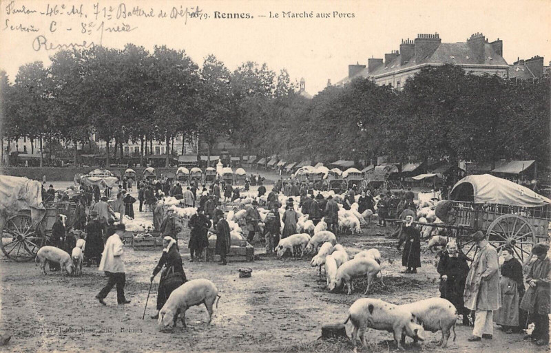 Carte postale ancienne Rennes Le Marche Aux Porcs à Rennes