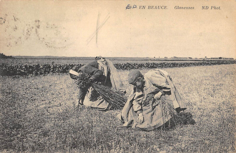Carte postale ancienne En Beauce Glaneuses / Agriculture