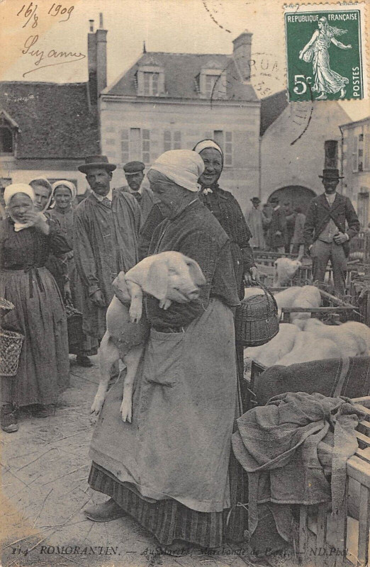 Carte postale ancienne Romorantin Au Marche Marchande De Porcs