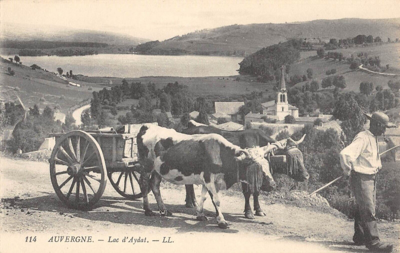 Carte postale ancienne Auvergne Lac D'Aydat - Agriculture à Aydat