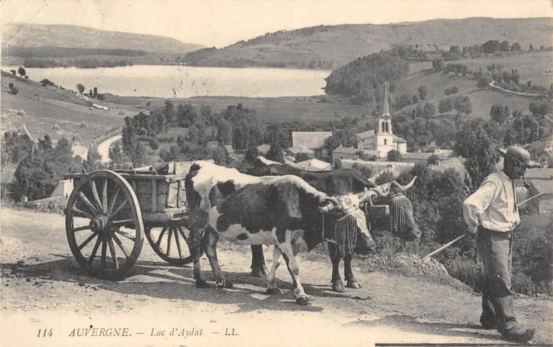 Carte postale ancienne Auvergne Lac D'Aydat - Agriculture à Aydat
