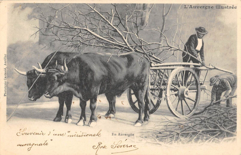 Carte postale ancienne Auvergne / Agriculture